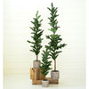 Pine Tree Faux Plant Set of 3