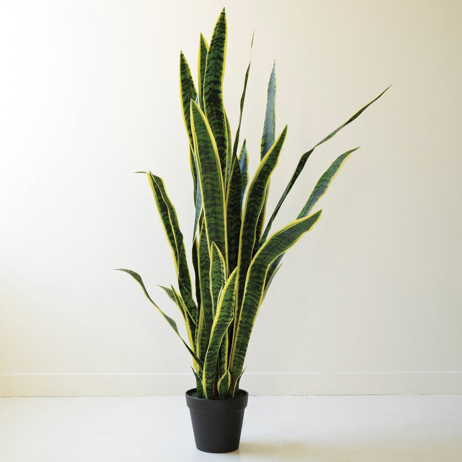 Tall Artificial Mother-In-Law Tongue in a Black Plastic Pot