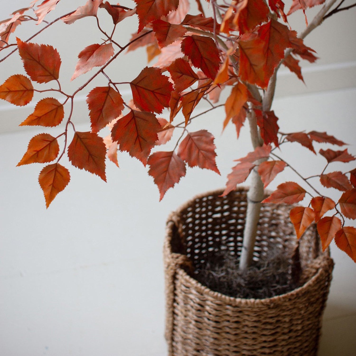 Autumn Birch Faux Tree in a Black Plastic Pot