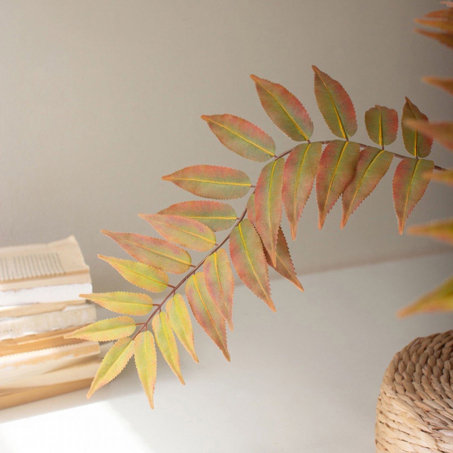 Yellow Faux Fern in a Black Plastic Pot