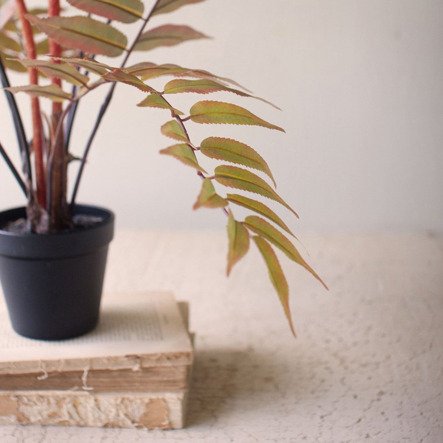 Yellow Faux Fern in a Black Plastic Pot