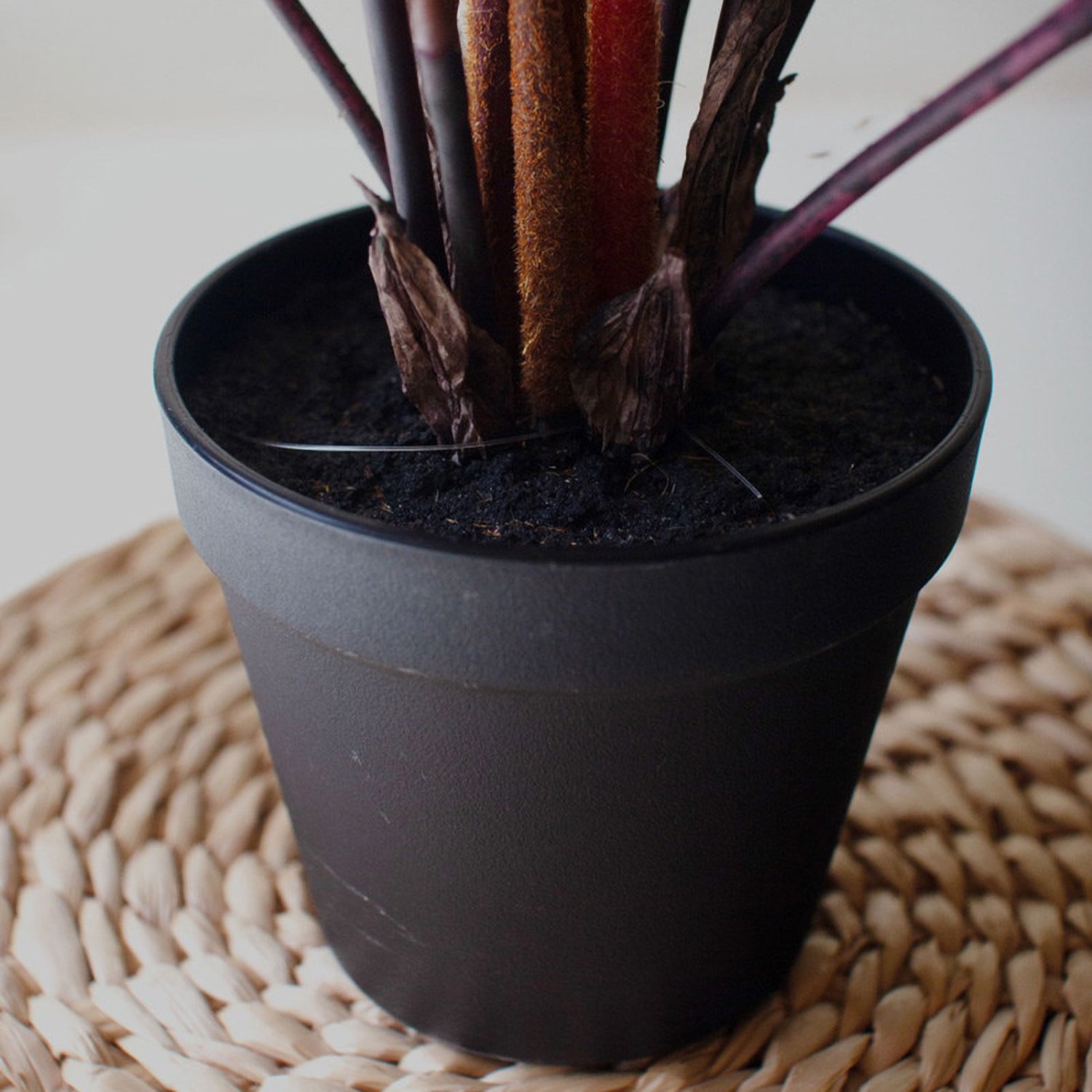 Yellow Faux Fern in a Black Plastic Pot
