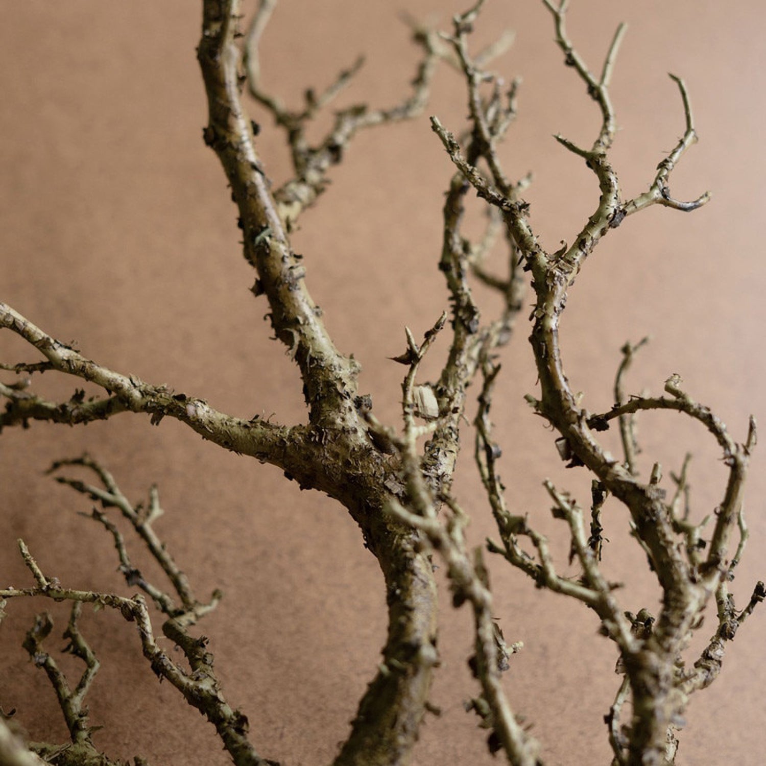 Dead Wood Branch Faux Plant Stem Set of 4