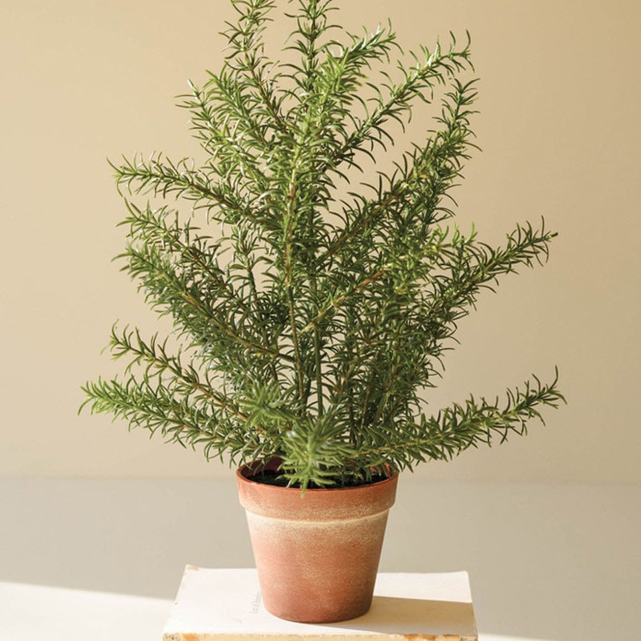 Rosemary Potted Faux Plant Set of 4