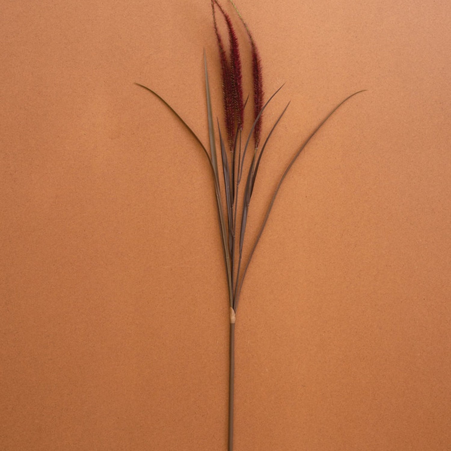 Artificial Agave 3 Foxtail Spray Faux Plant Stem