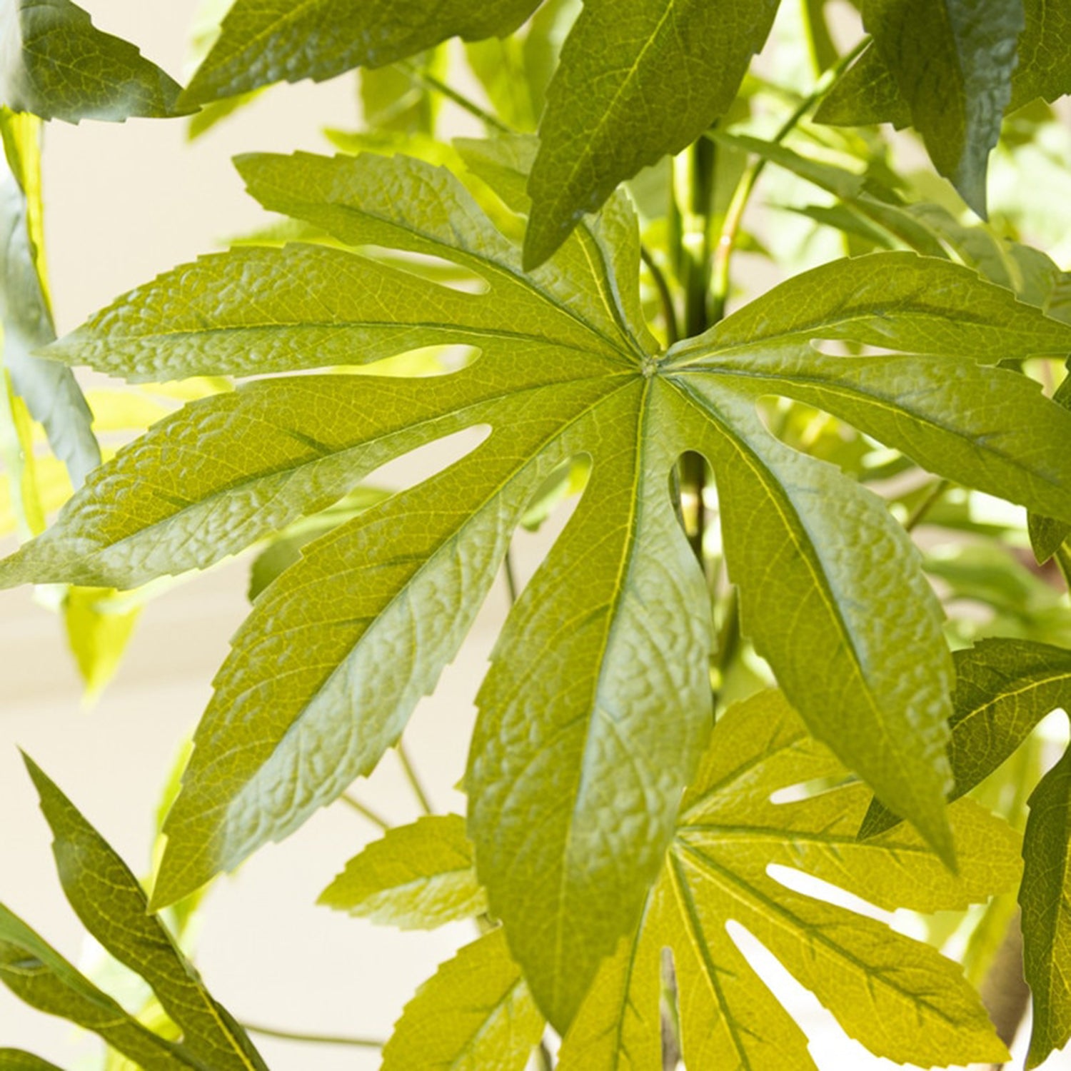 Artificial 4' Japanese Aralia in Plastic Pot