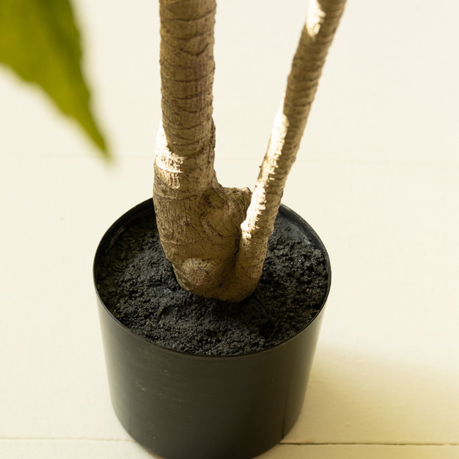 Artificial 4' Japanese Aralia in Plastic Pot