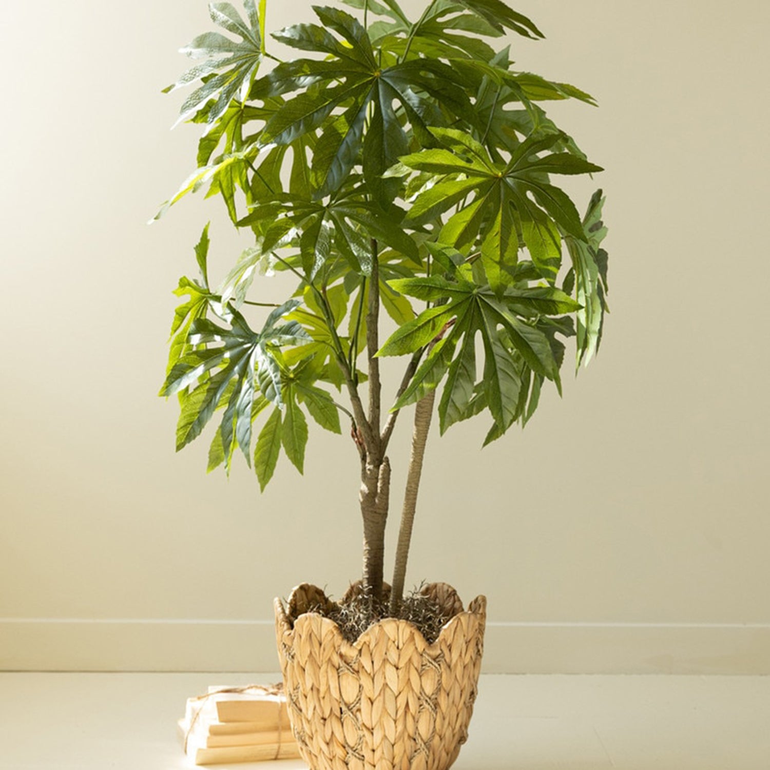 Artificial 4' Japanese Aralia in Plastic Pot