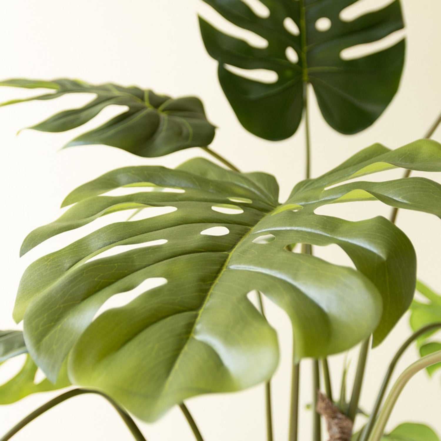 Artificial Potted Grand Monstera Tree in a Black Plastic Pot