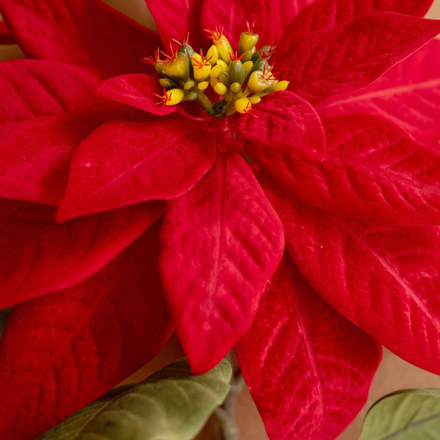 Red Poinsettia Faux Plant Stem Set of 6