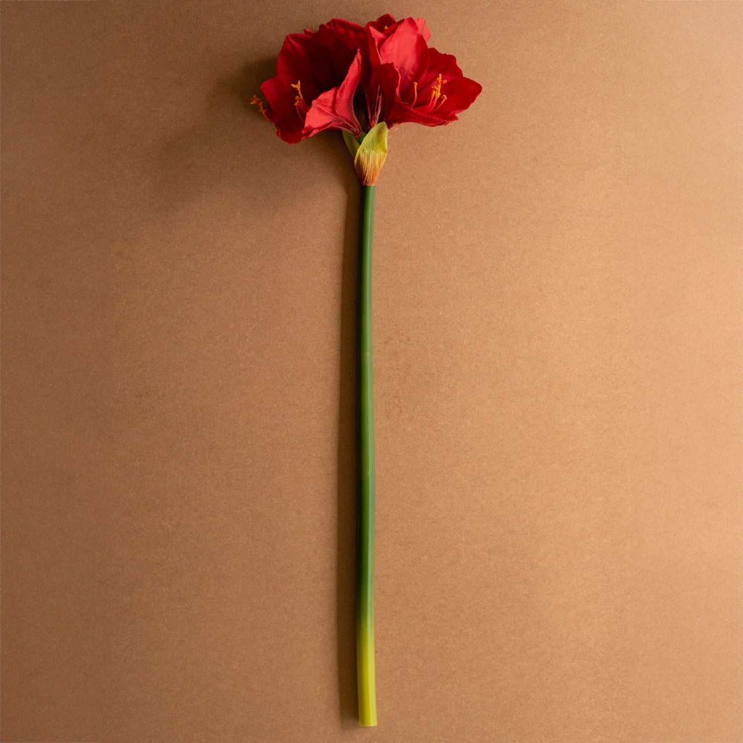 Amaryllis Faux Plant Stem Set of 6