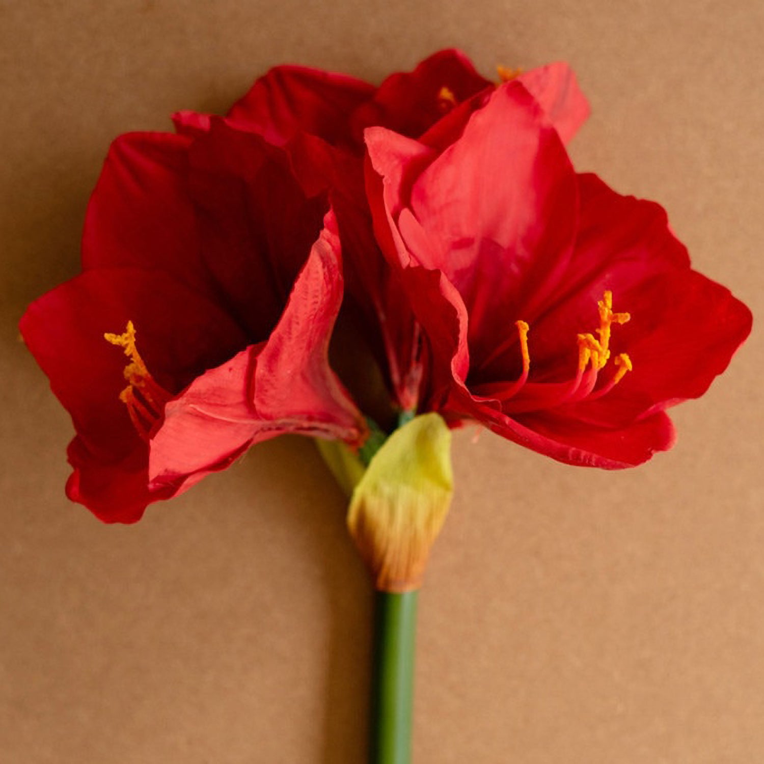 Amaryllis Faux Plant Stem Set of 6