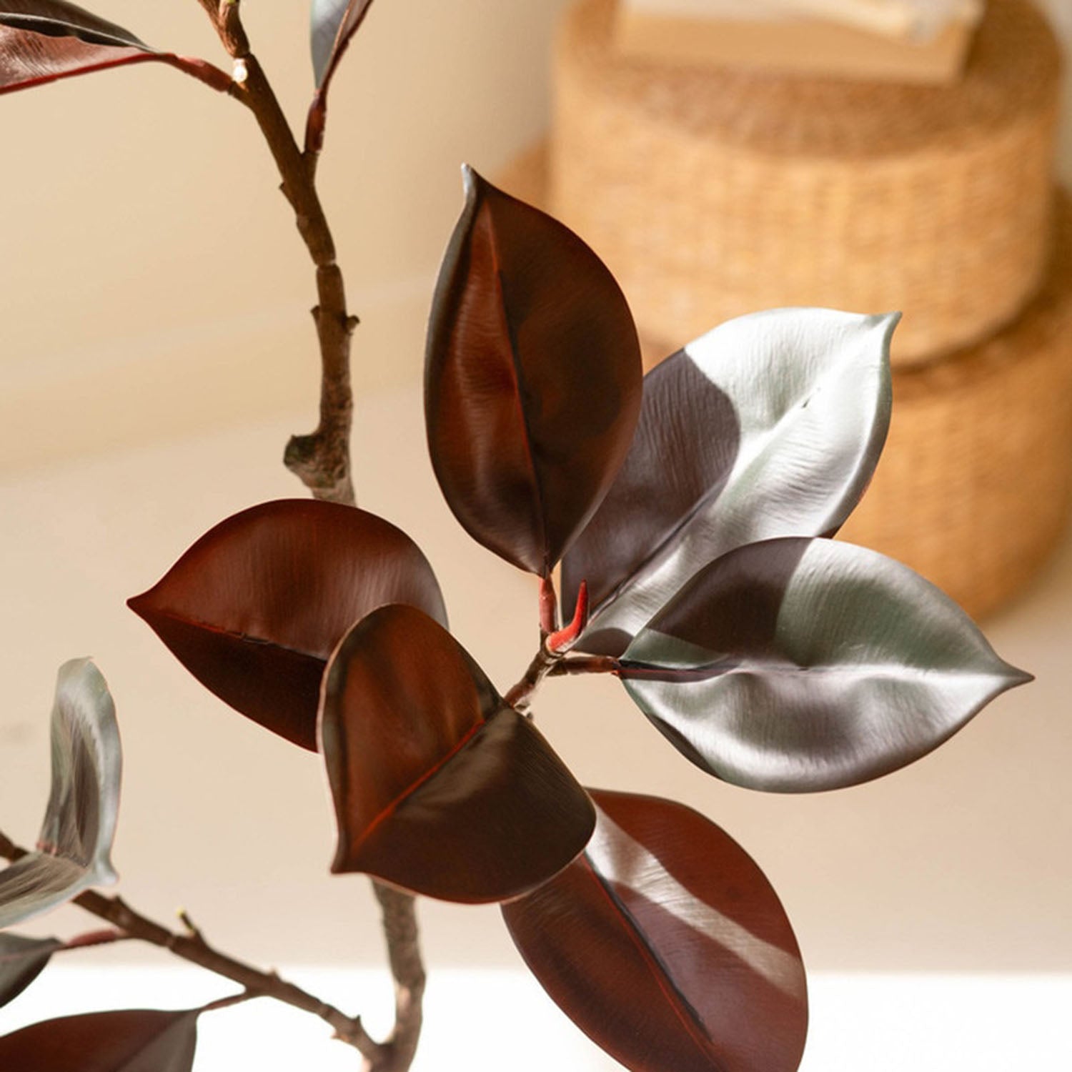Rubber Tree Potted Faux Tree