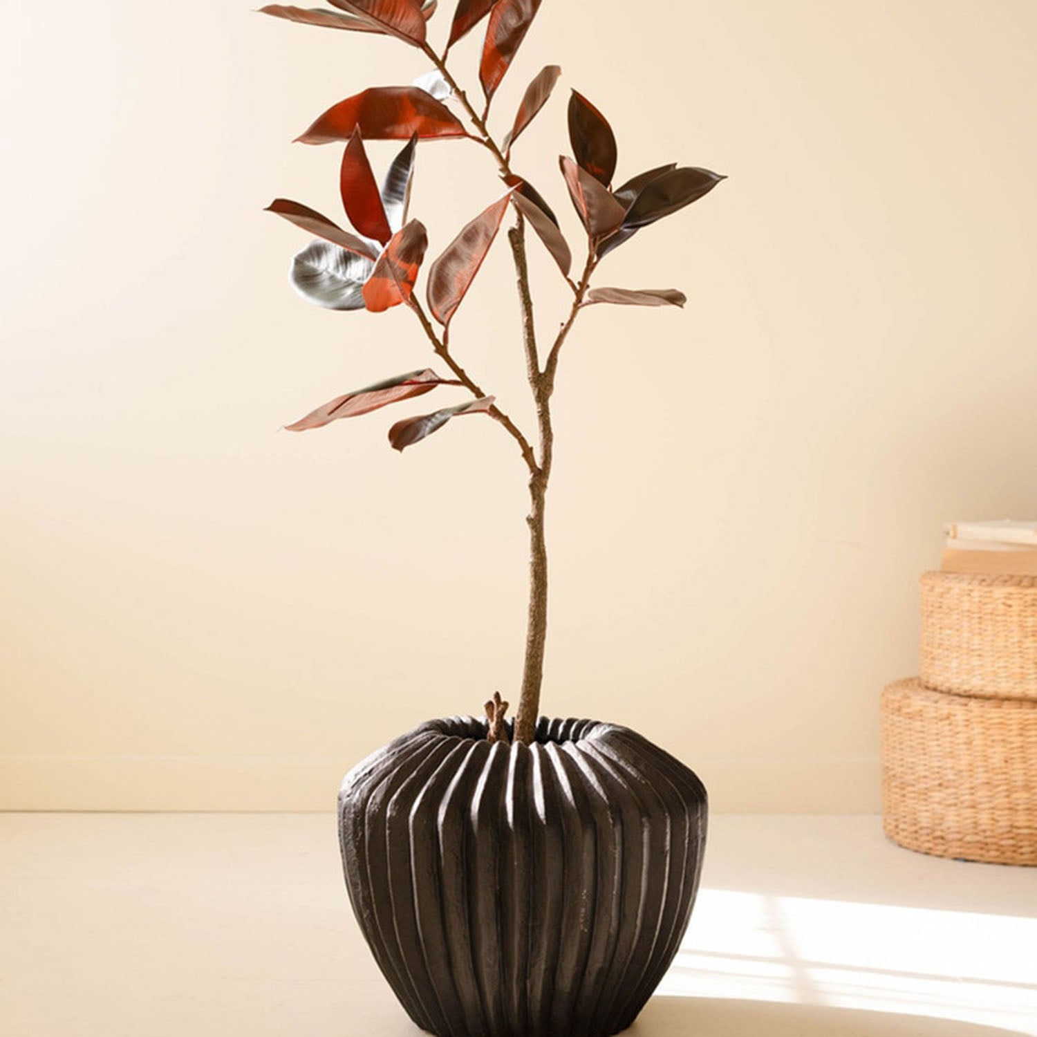 Rubber Tree Potted Faux Tree