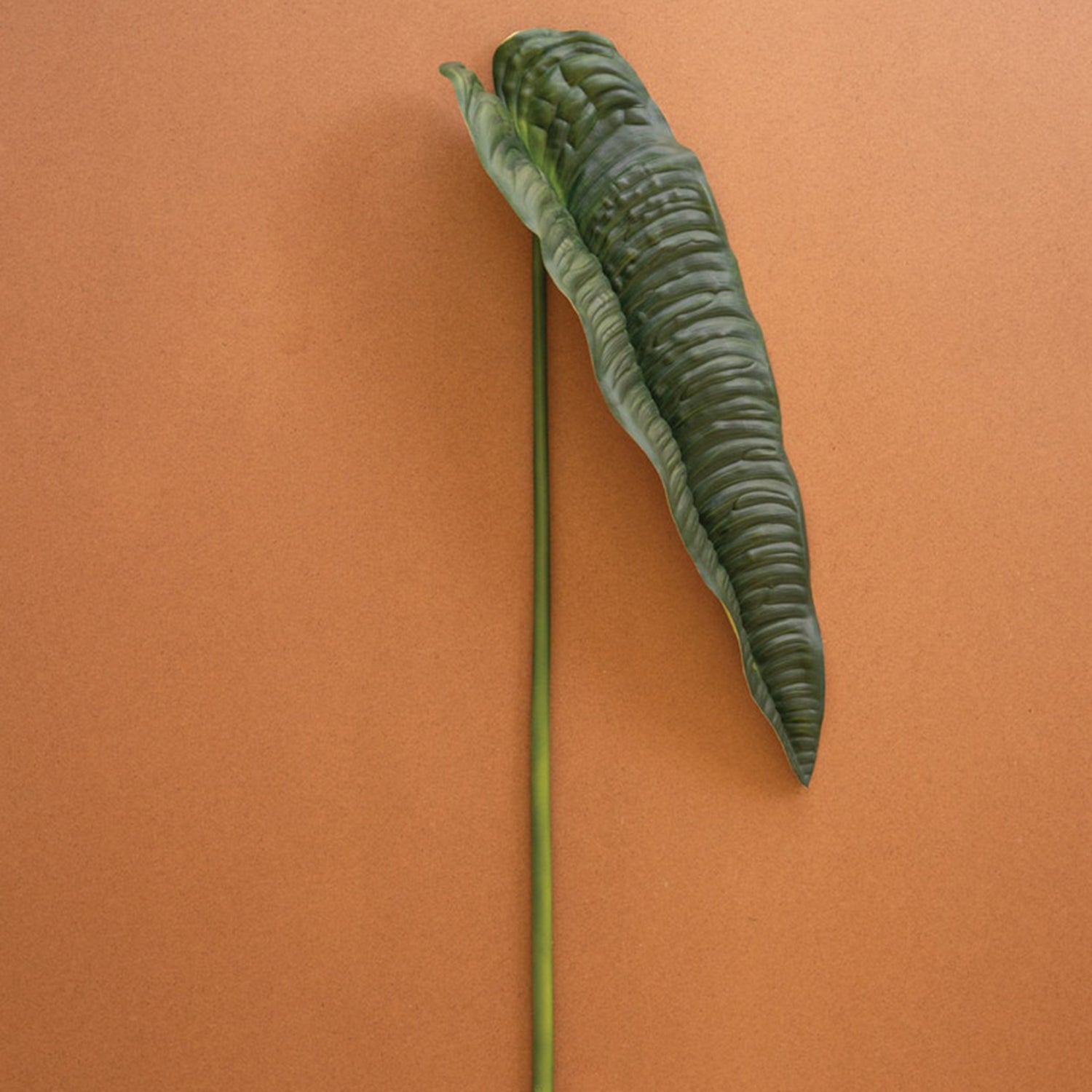 Faux Anthrium Leaf Faux Plant Stem