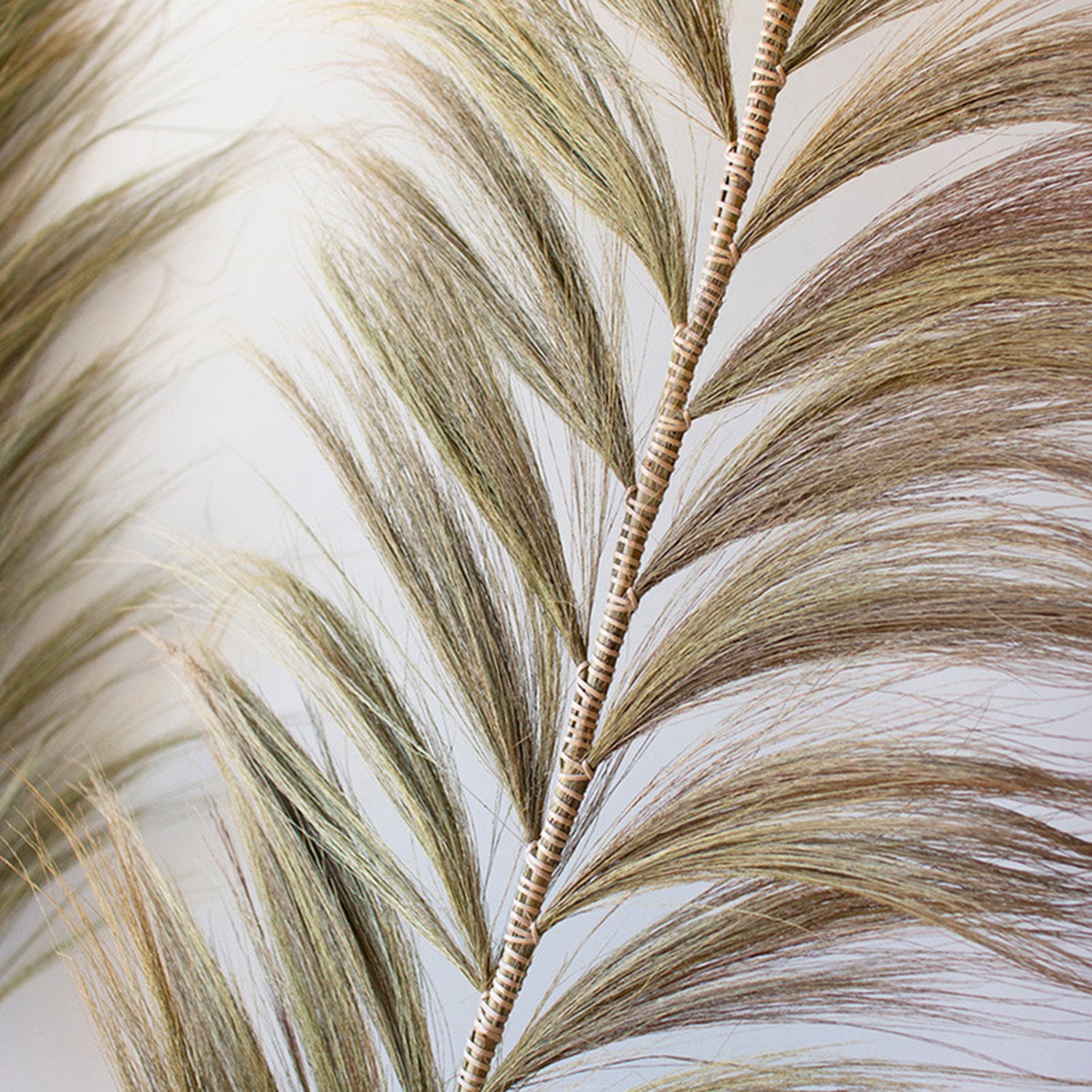 Decorative Palm Fans with Bamboo Stem Set of 6