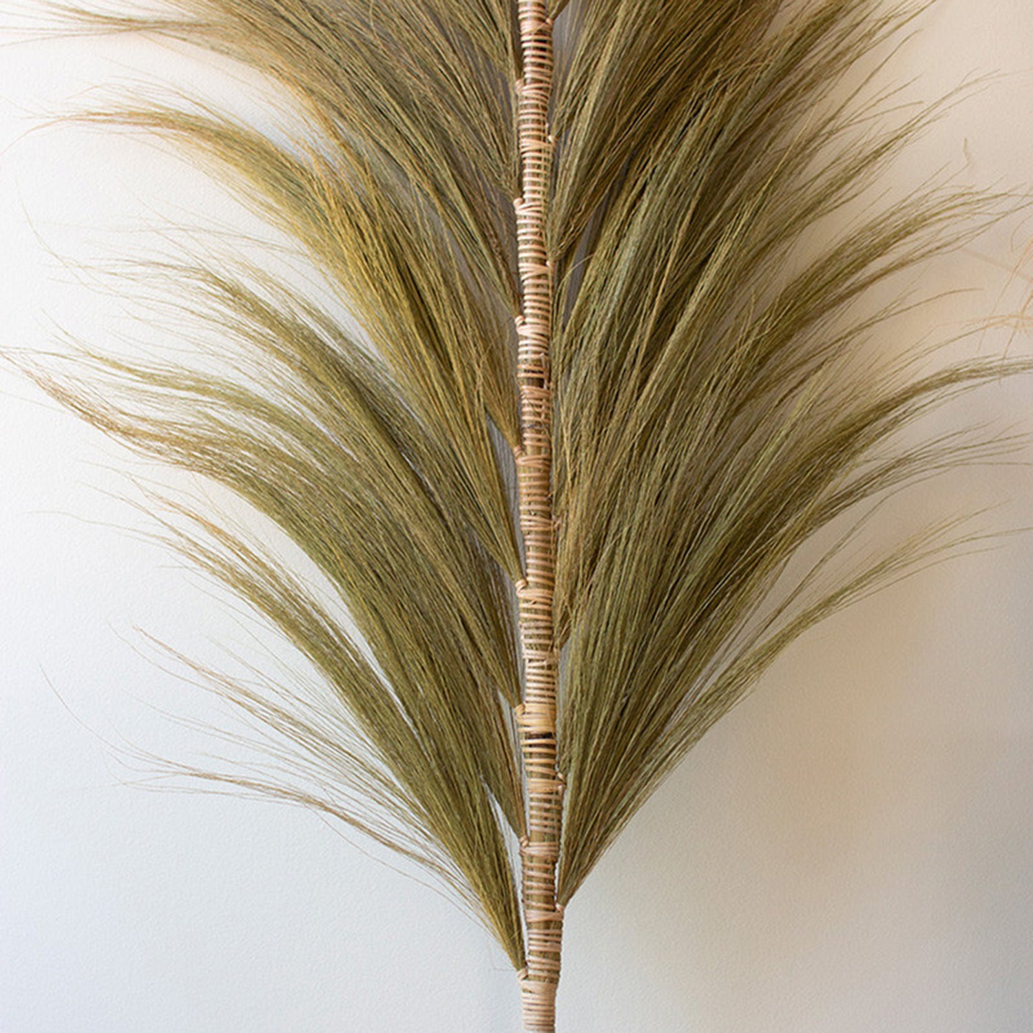 Decorative Palm Fans with Bamboo Stem Set of 6