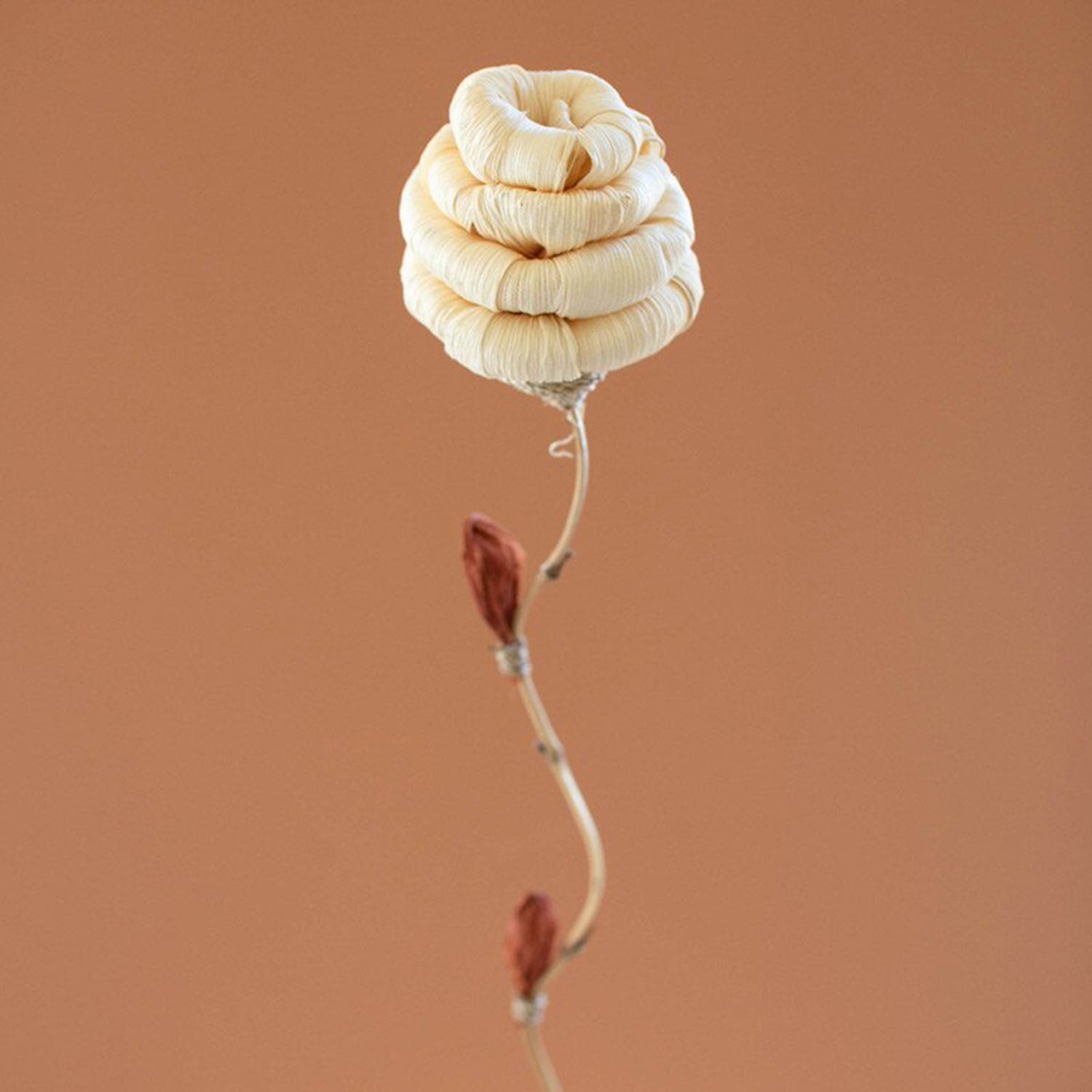 Cornhusk Botanicals Hive Set of 12