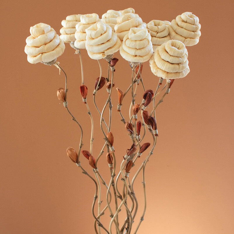 Cornhusk Botanicals Hive Set of 12