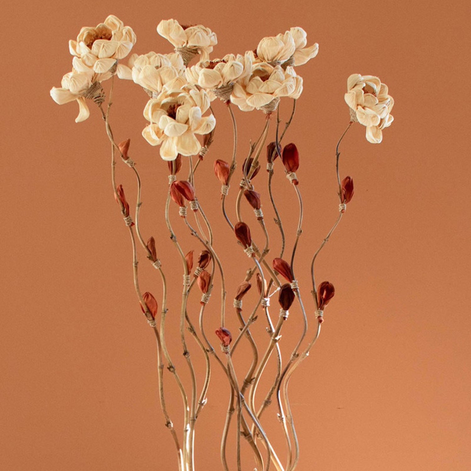 Cornhusk Botanicals Magnolia Set of 12