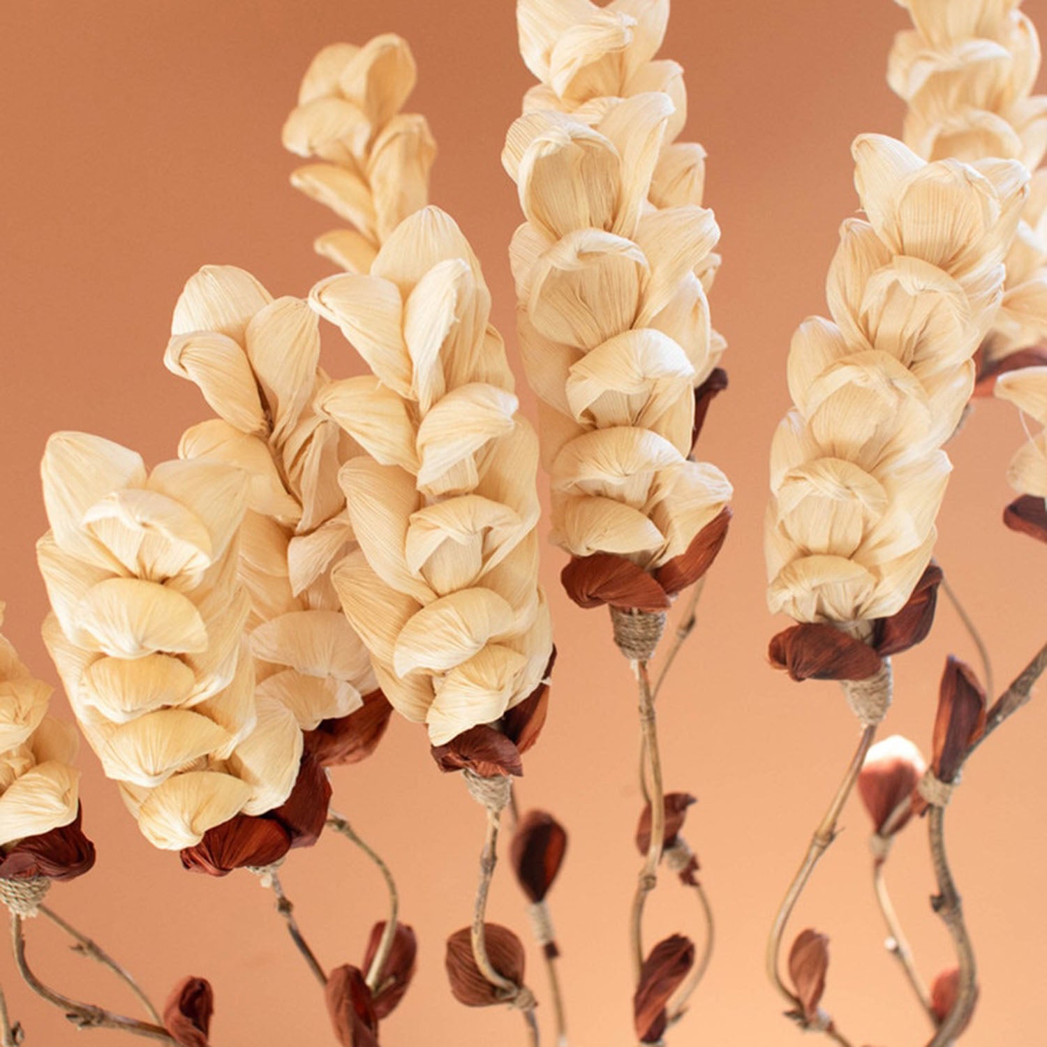 Cornhusk Botanicals Snap Dragon Set of 12