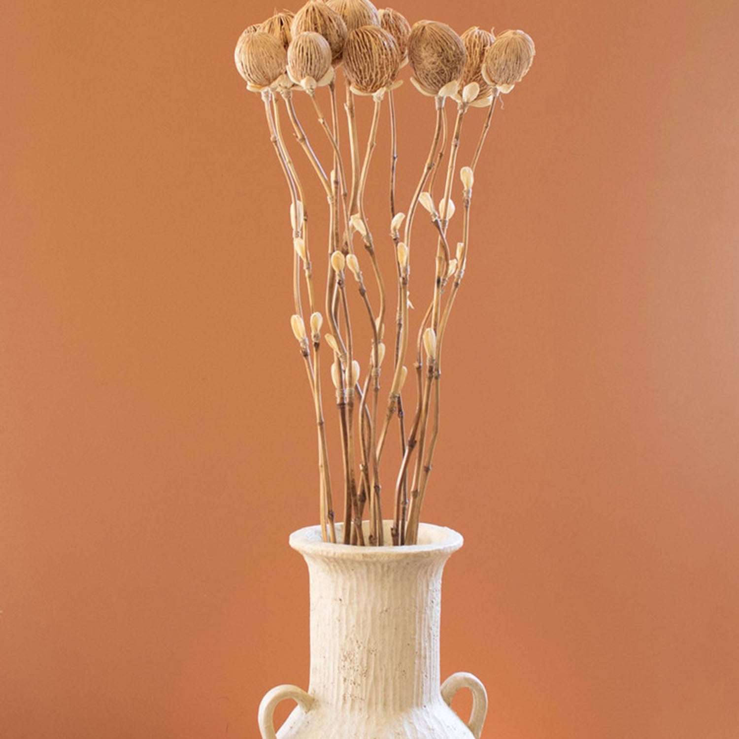 Cornhusk Botanicals Pods Set of 12