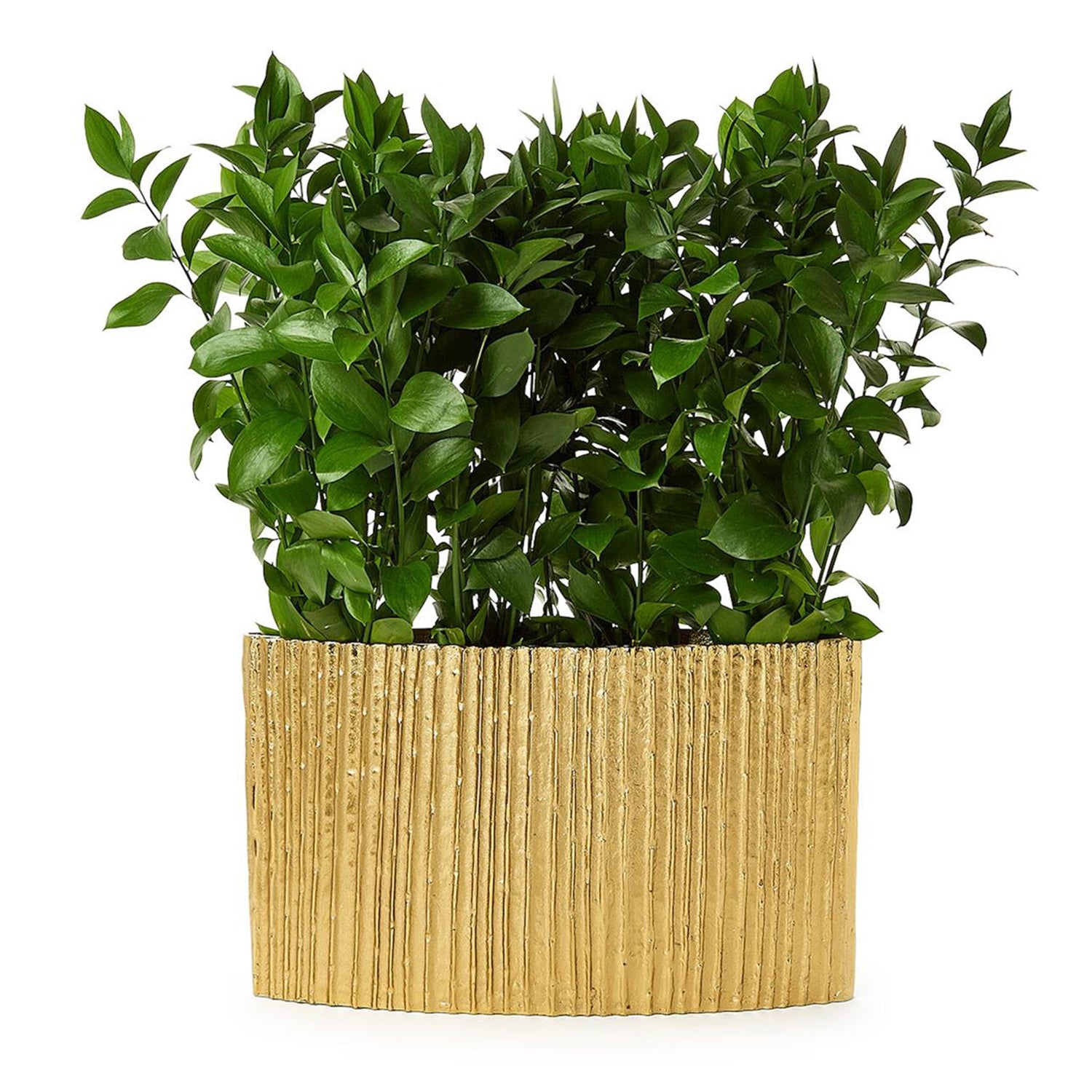 Bamboo Pleated Golden Vase