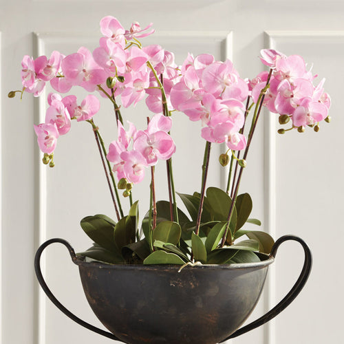 Phalaenopsis Orchid Pink Drop-In Faux Plant