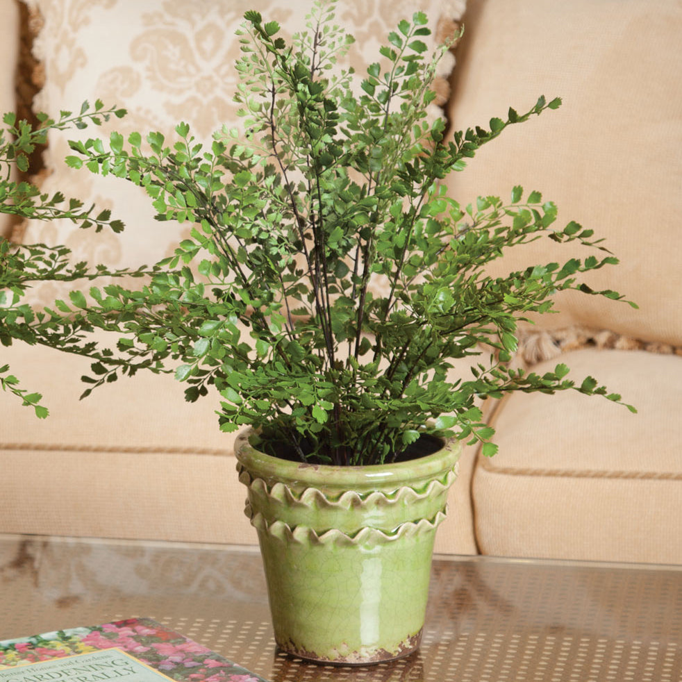 Maidenhair Drop-In Faux Plant