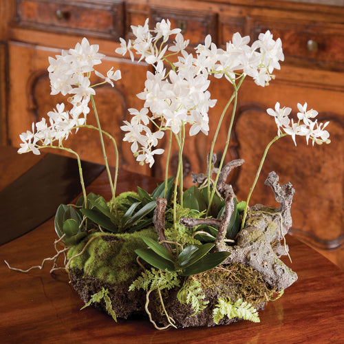 Dendrobium With Rustic Mini Drop-In Faux Plant