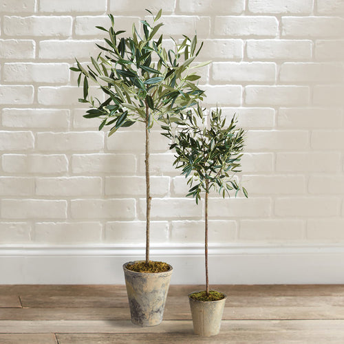 Olive Tree Potted Faux Plant