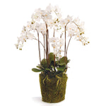 Phalaenopsis Orchid White Drop-In Faux Plant