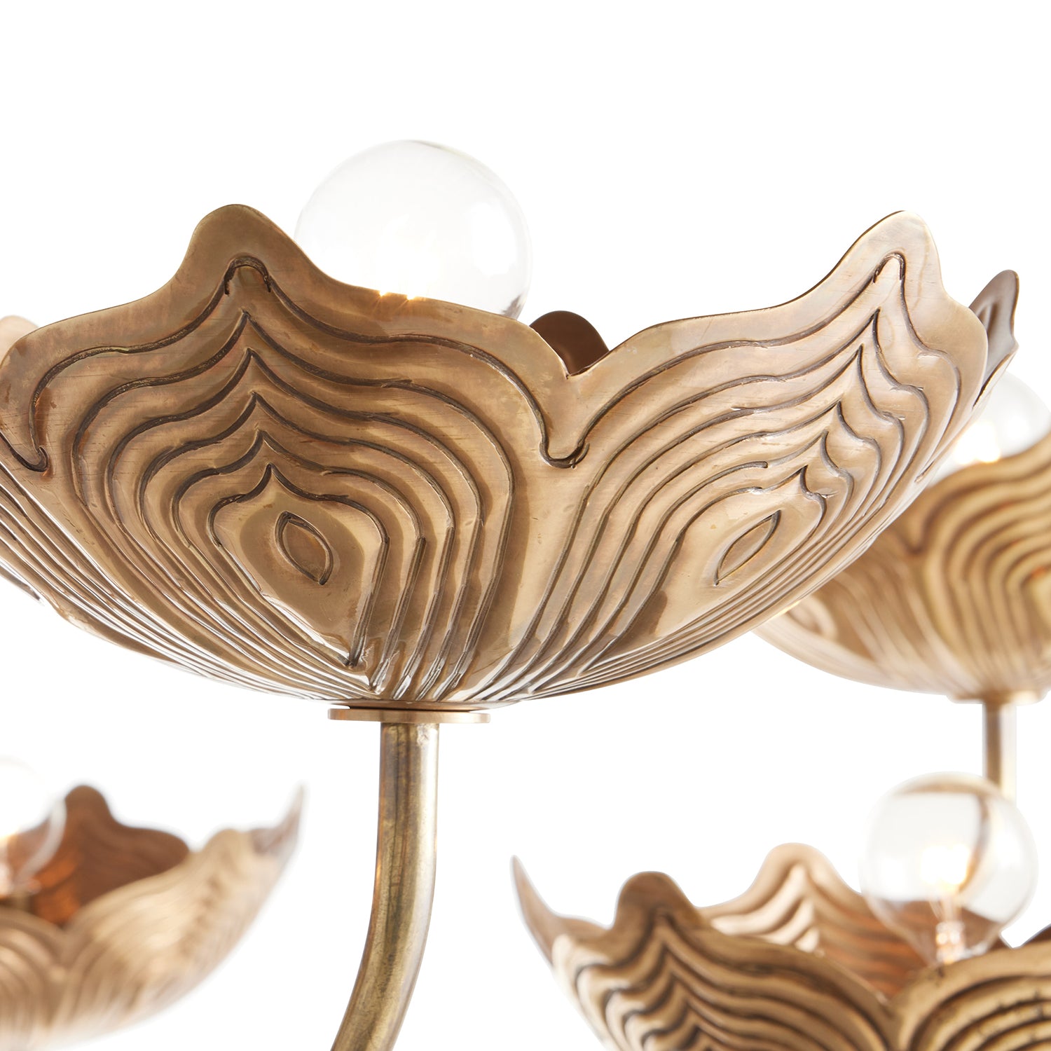 Arteriors Encinitas Chandelier - Thumbnail 2