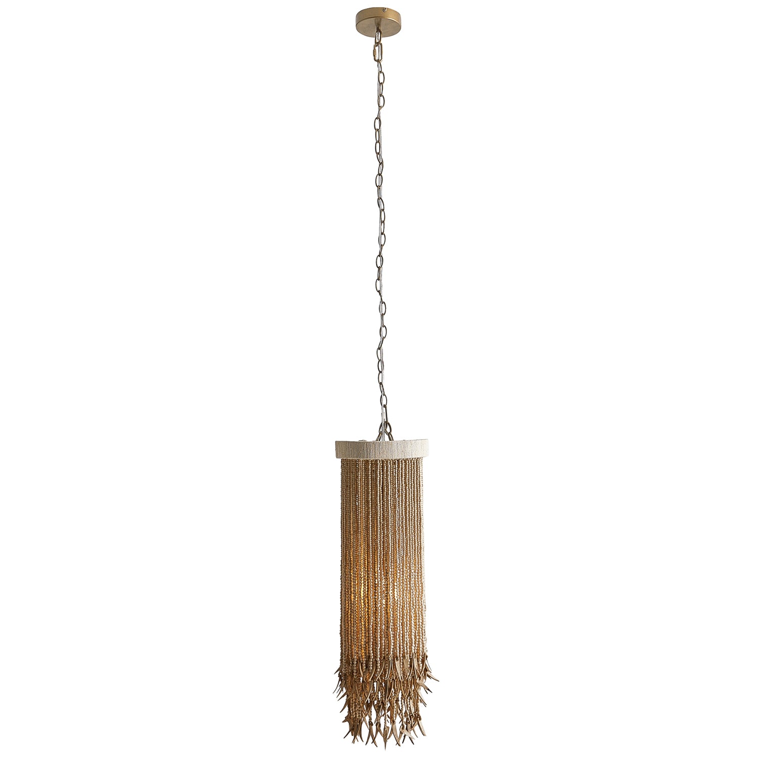 Arteriors Baja Pendant