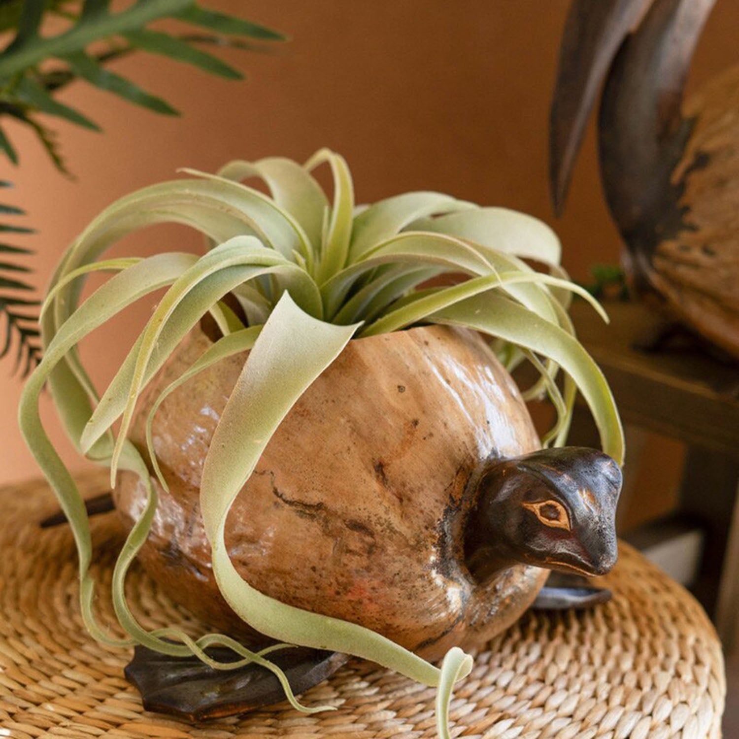 Coconut Turtle Planter