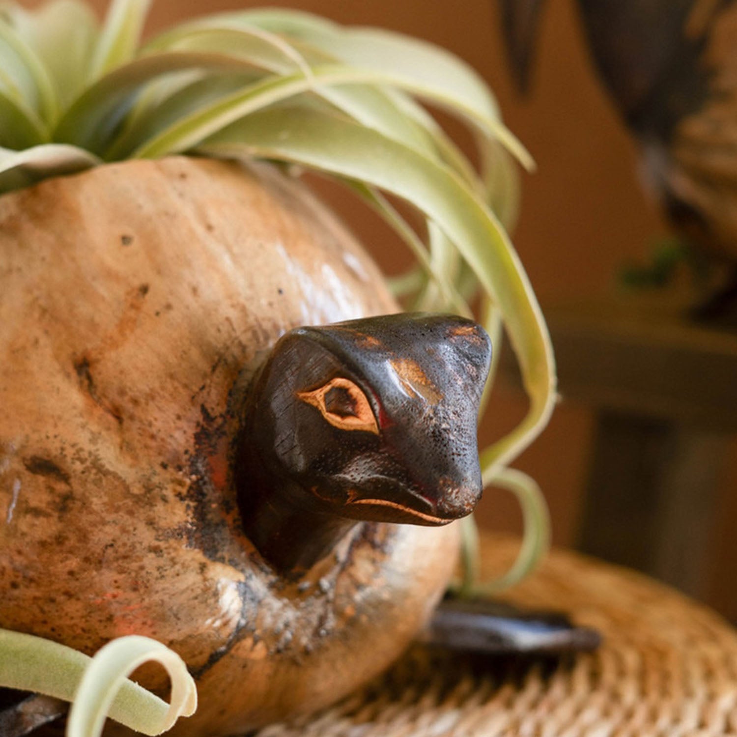 Coconut Turtle Planter