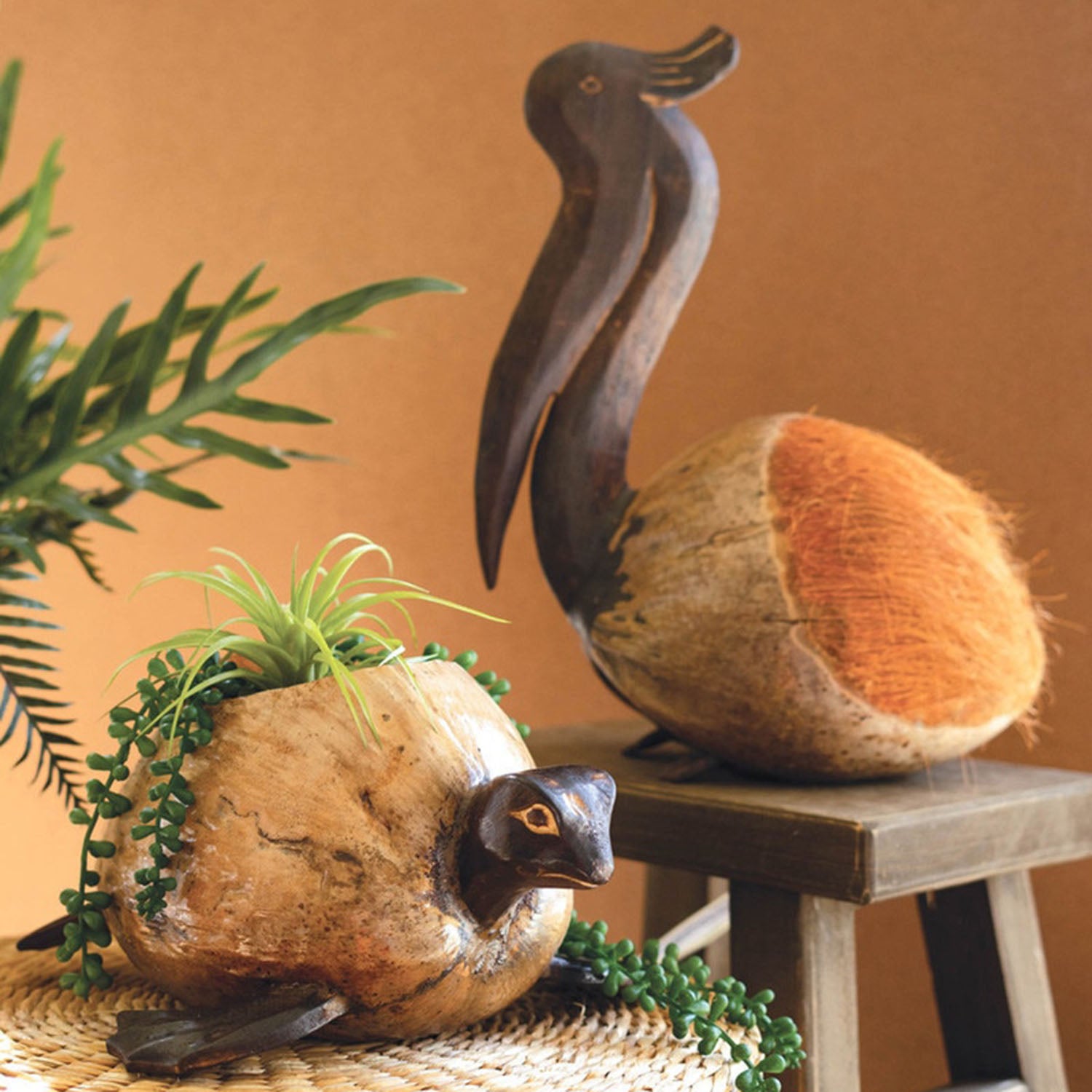 Coconut Turtle Planter