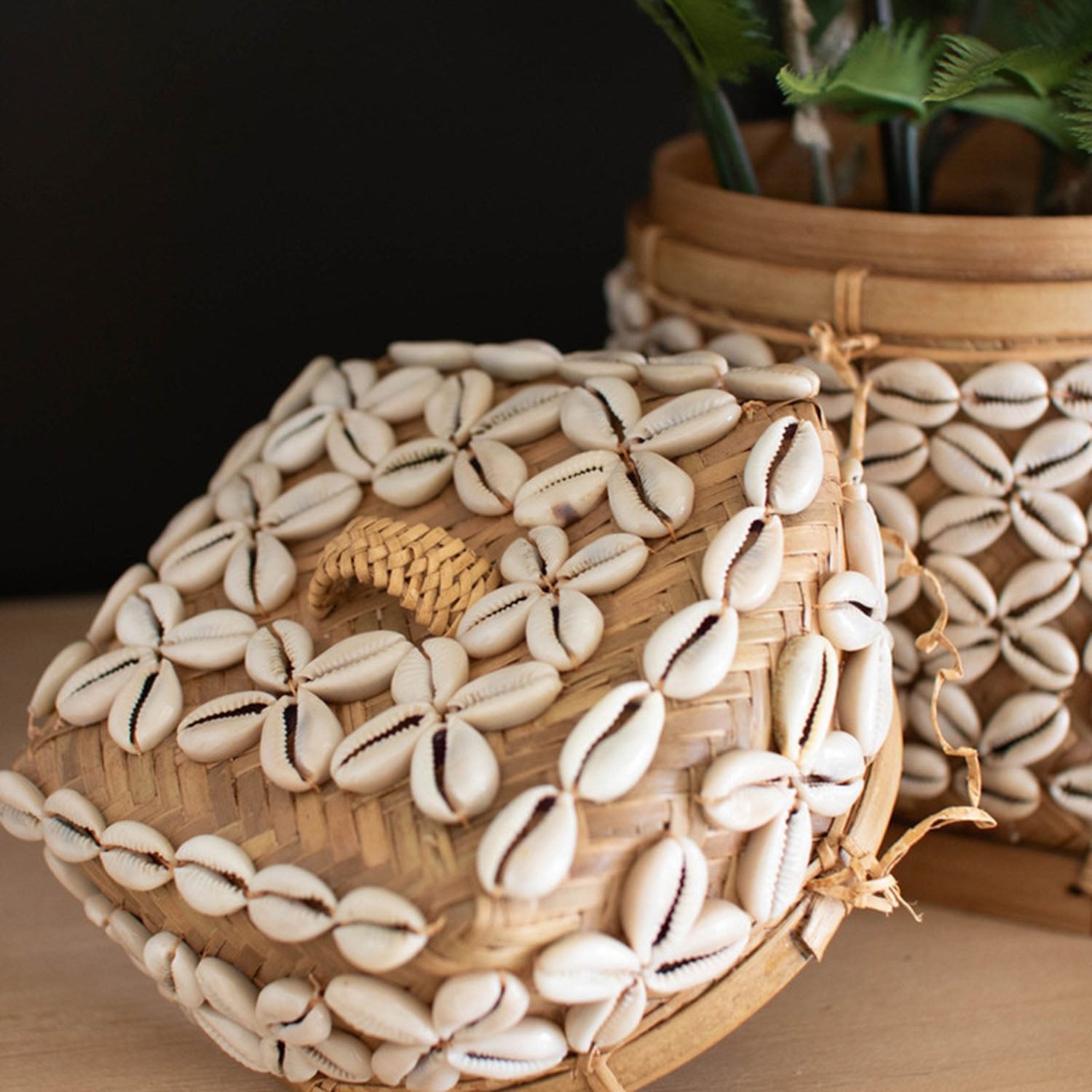 Bamboo Box with Shell
