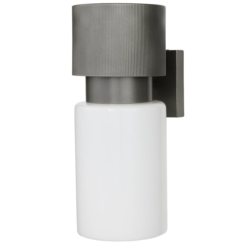 Arteriors Crawford Outdoor Wall Sconce