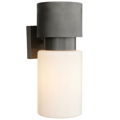 Arteriors Crawford Outdoor Wall Sconce