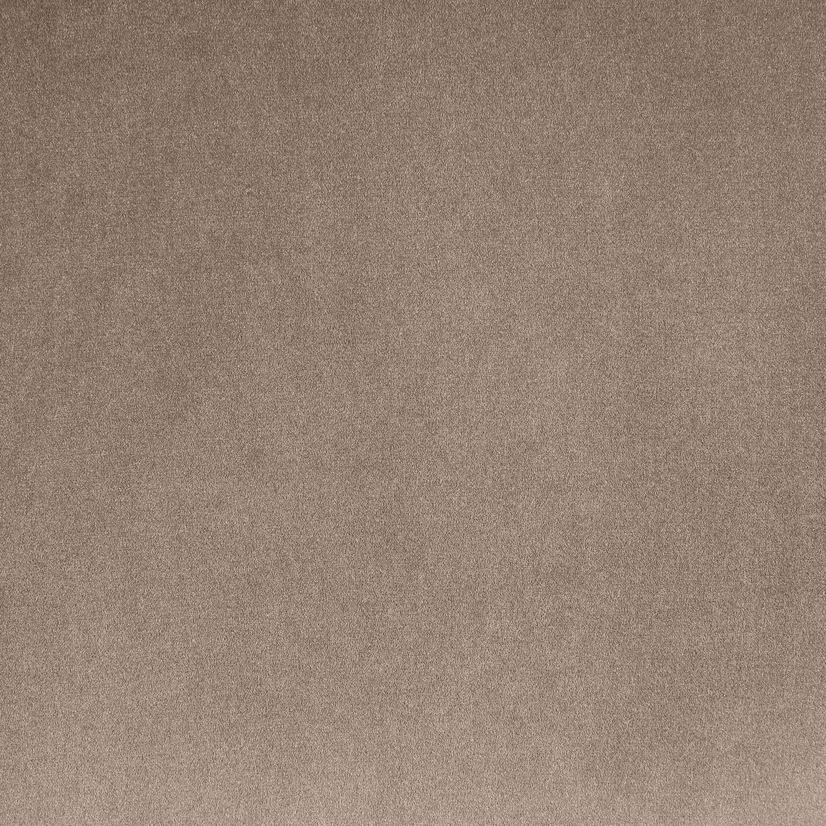Dawson Taupe Velvet Upholstered Bed