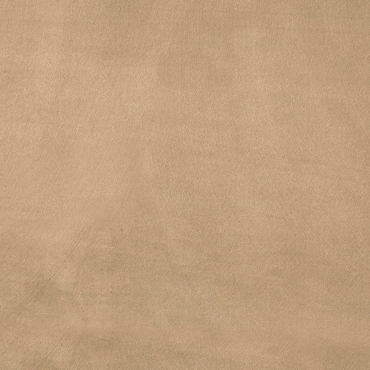 Dorian Beige Velvet Upholstered Bed