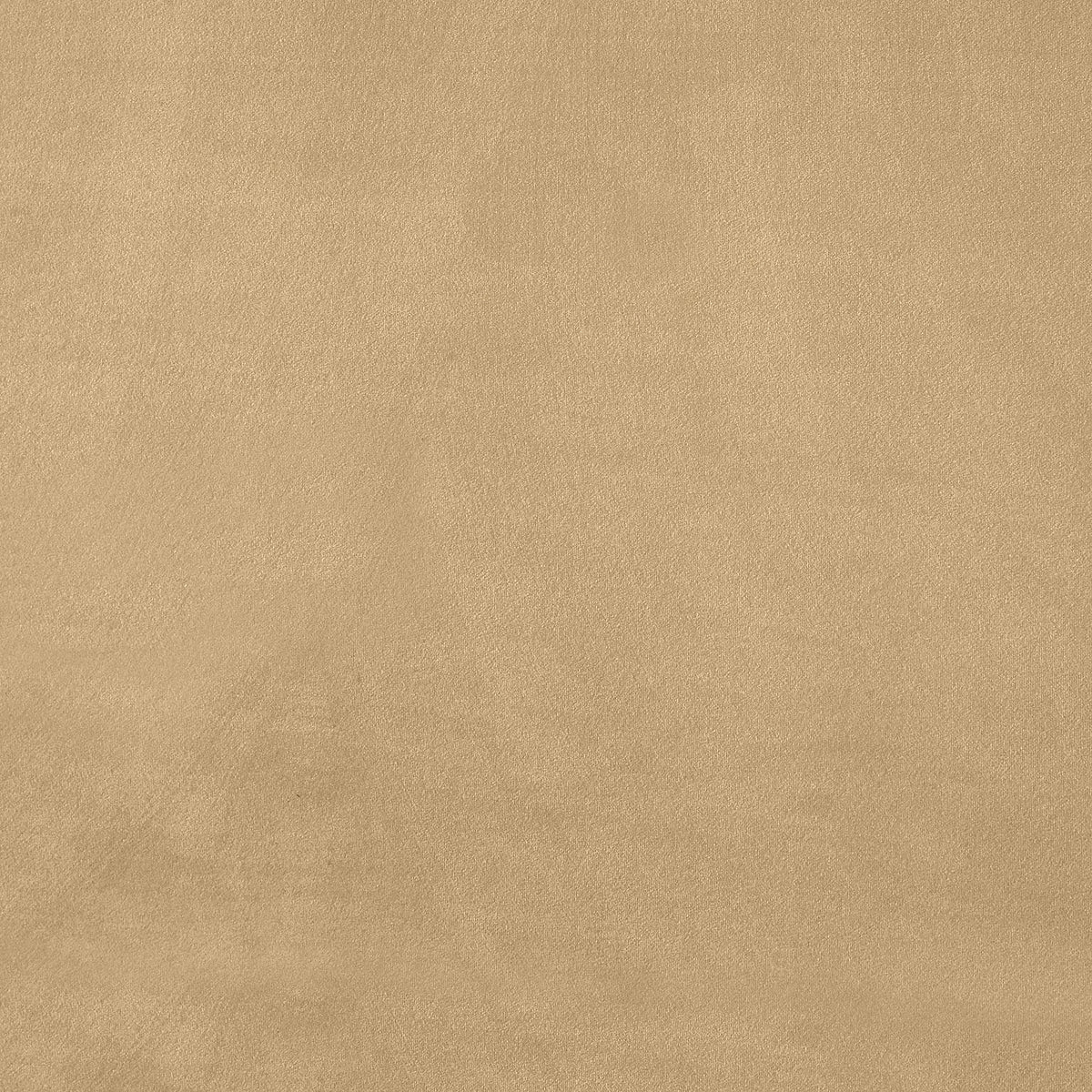 Dorian Camel Velvet Upholstered Bed