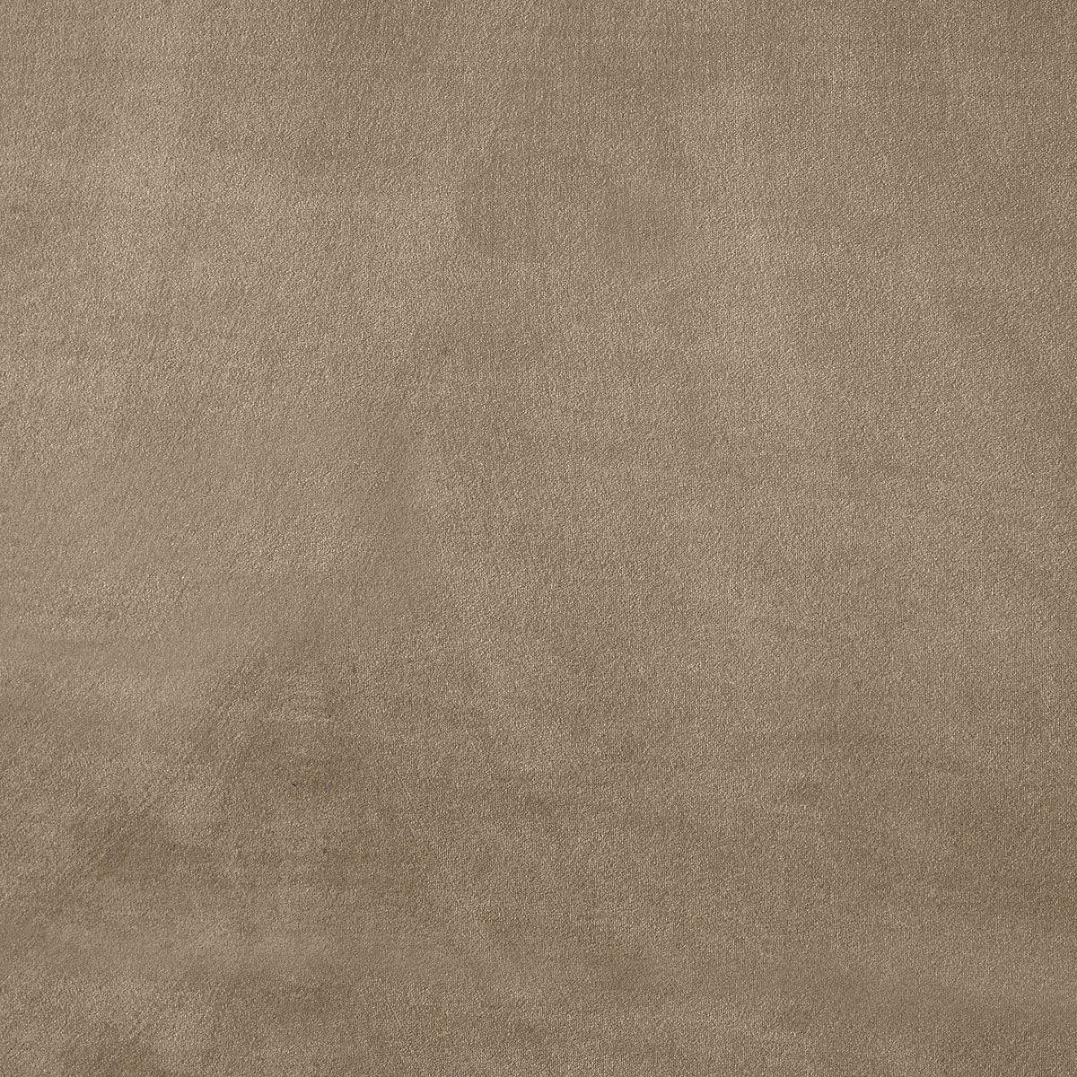 Dorian Taupe Velvet Upholstered Bed
