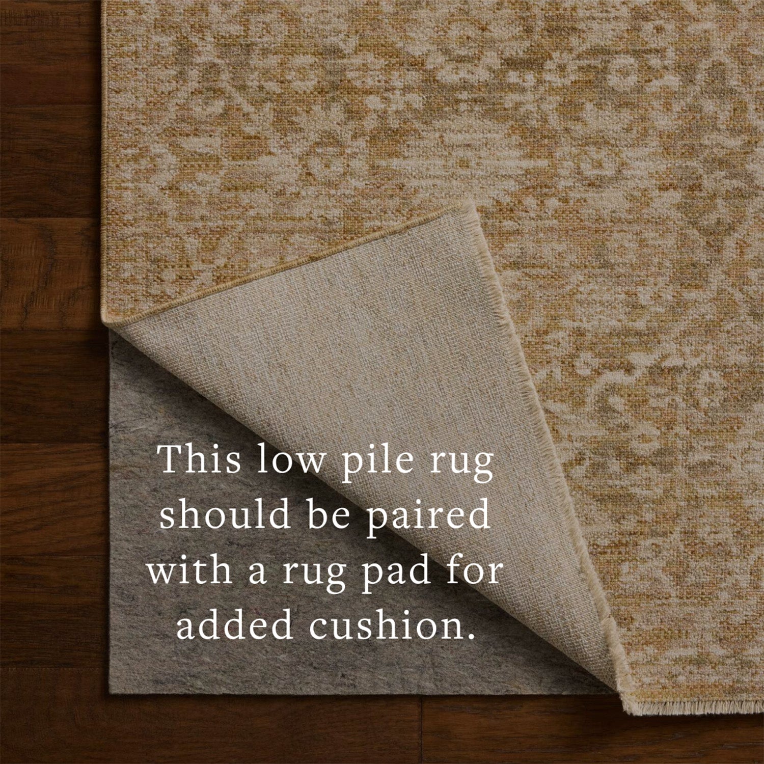 Loloi Elora Gold/Natural Power Loomed Rug