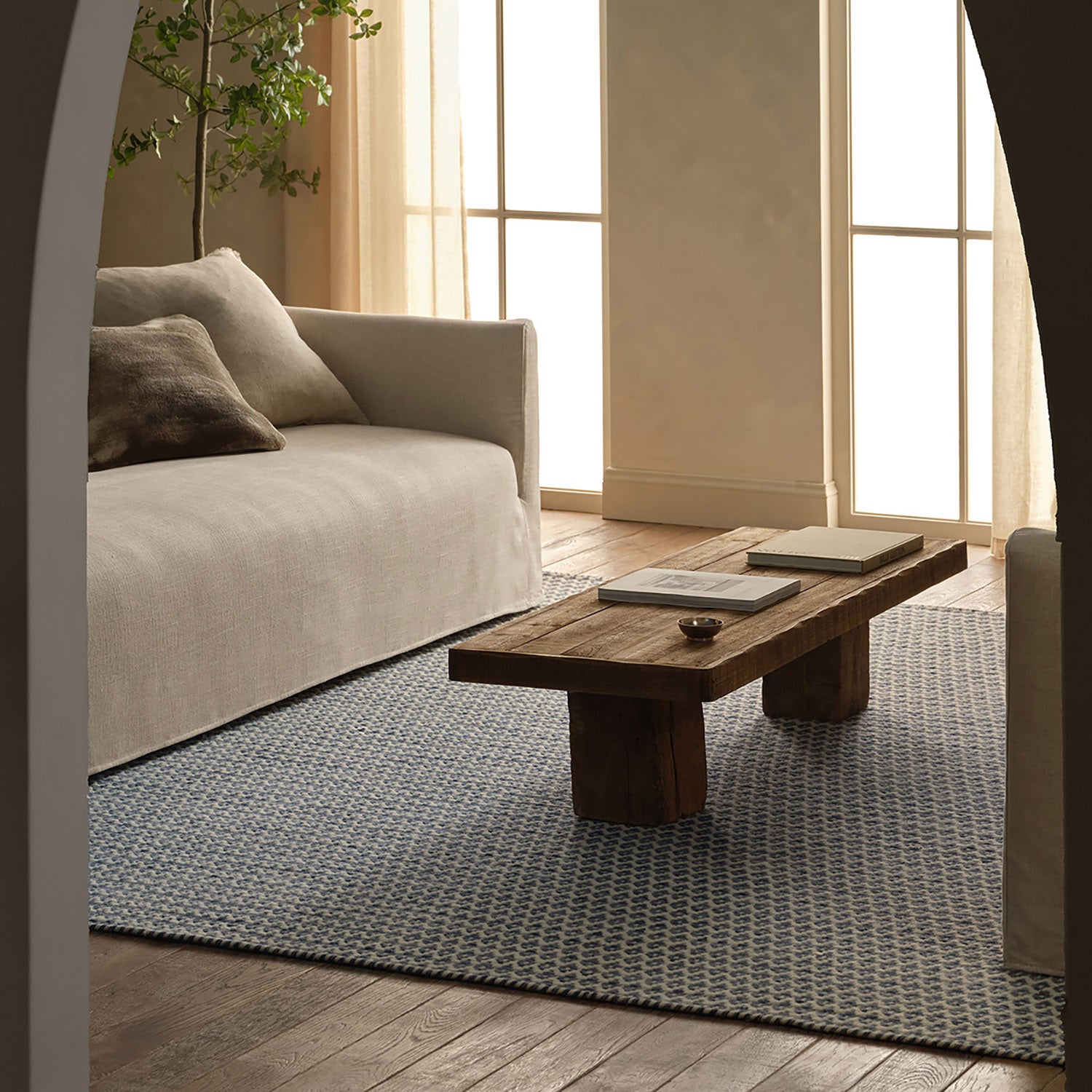 Jaipur Living Enclave Pompano II Handwoven Rug