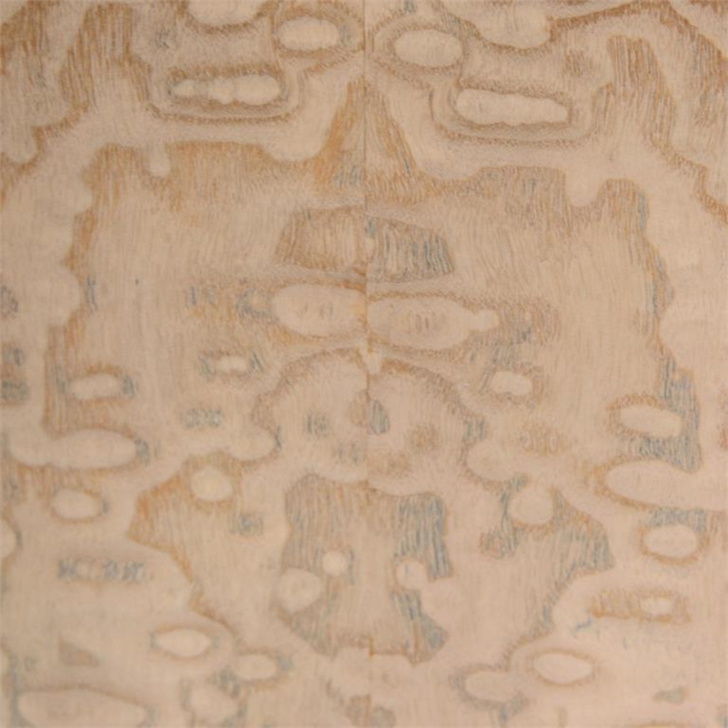 John Richard Butterfly Chest