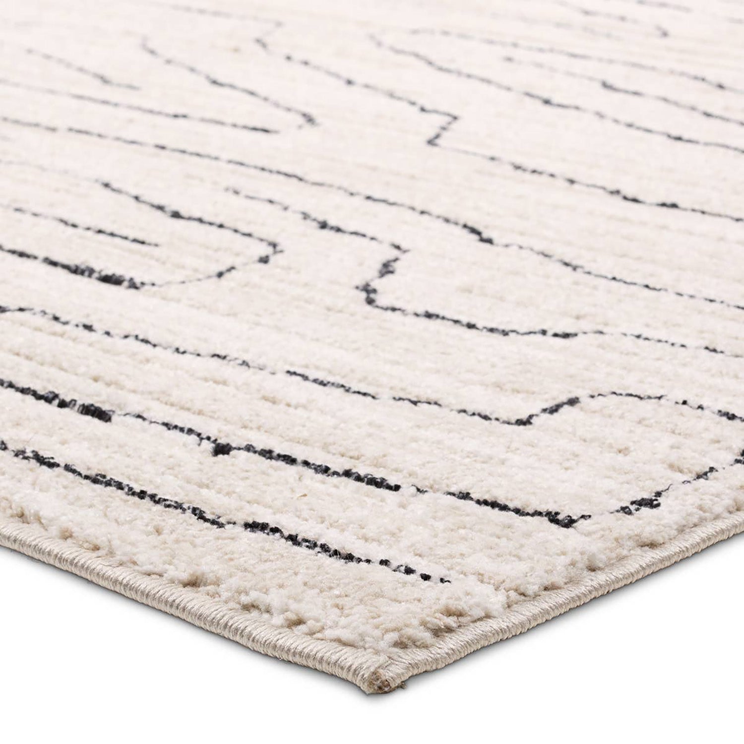 Jaipur Living Eva Newlyn Power Loomed Rug