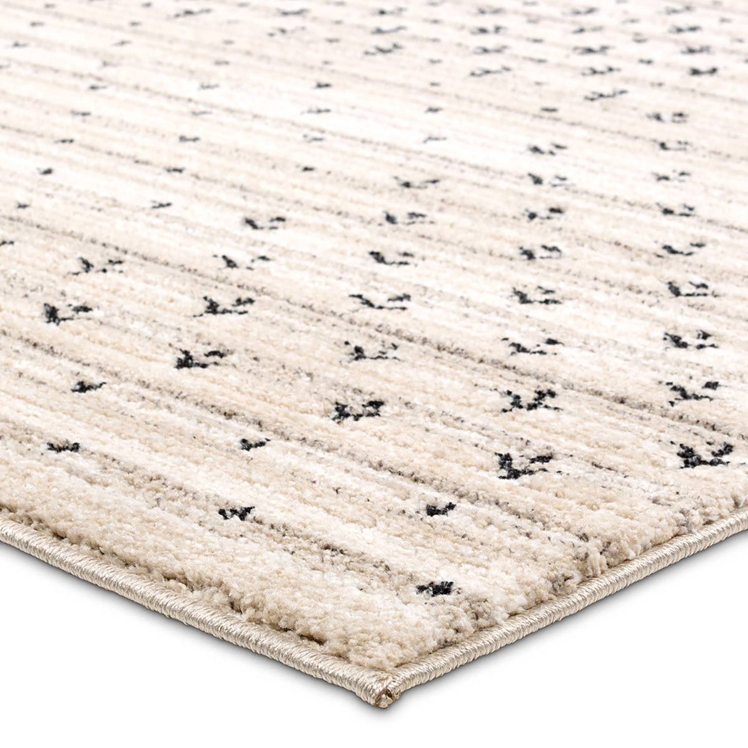 Jaipur Living Eva Zahraa Power Loomed Rug