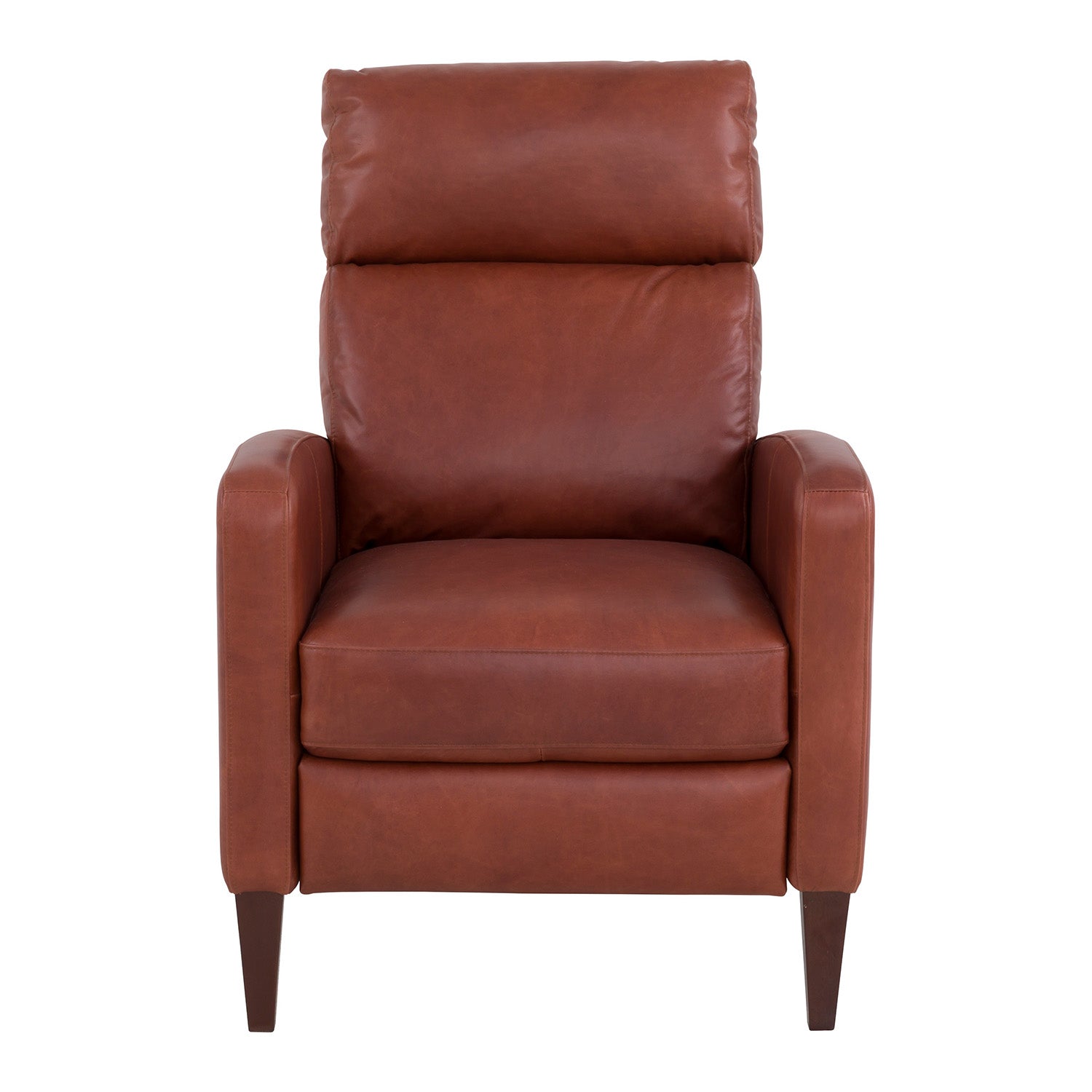 Fairfield Chair The Leather Reserve Ready-to-Ship Upholstery Archer Power Recliner